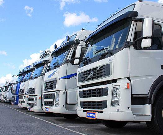 ������˾